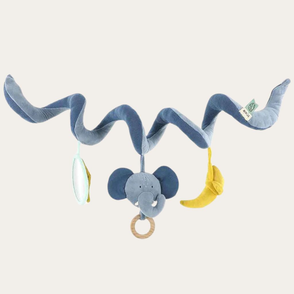 Pram & Pushchair Toys