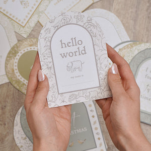 Hands holding the hello world arched baby milestone card