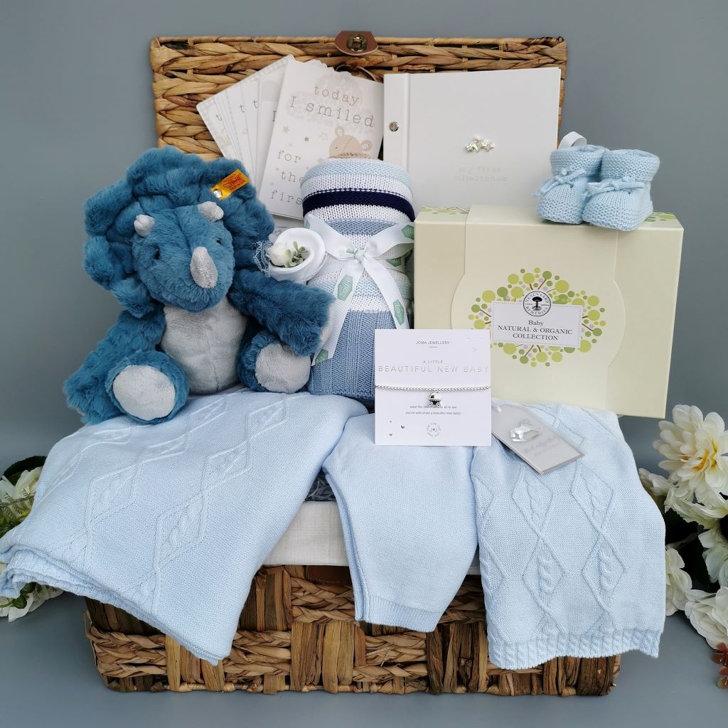 Baby Boy Gift Hamper - Award Winning Dixi Triceratops