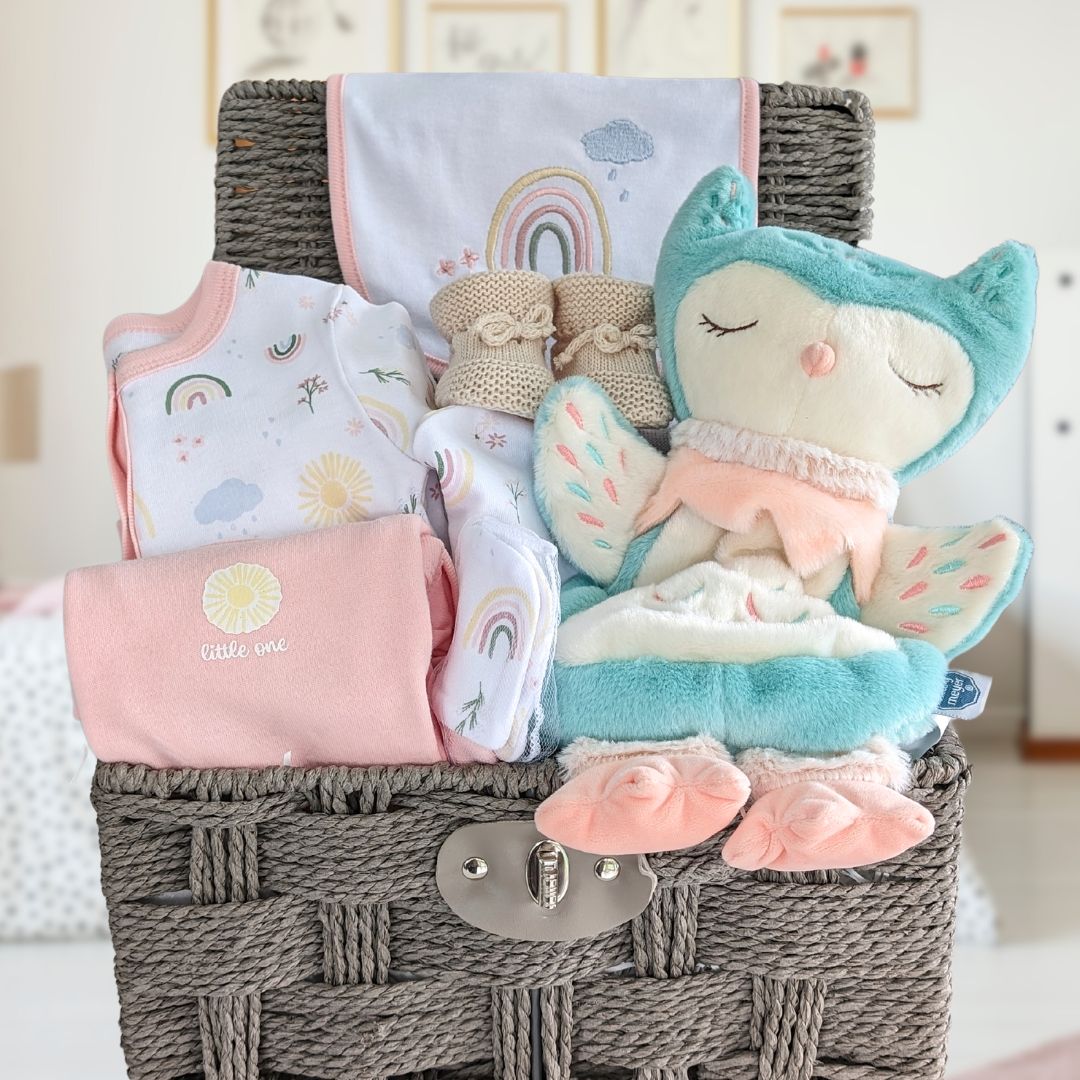 baby gifts basket with rainbow clothing set and owl soft toy