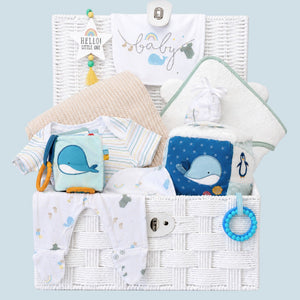 New baby gifts basket with an ocean theme to include clothing set and ocean activity cube