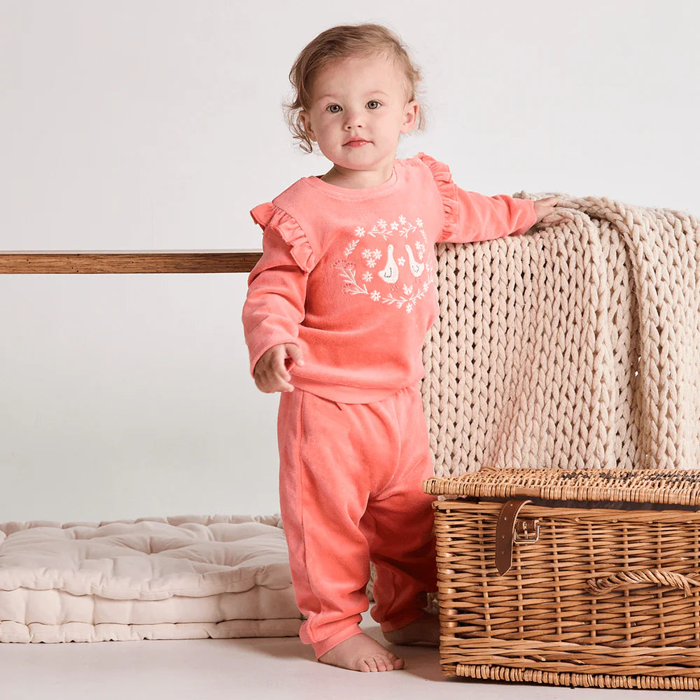 Baby girl floral velour top and leggings set in peach