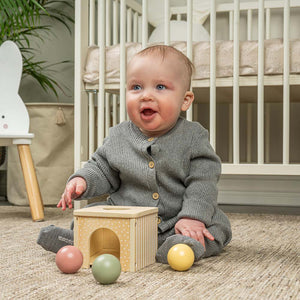 Play and Learn wooden toy. Includes 3 balls to post into the box and a cut away section to find them.