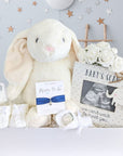 Baby Shower Gifts Box with scan frame and large white rabbit toy. 