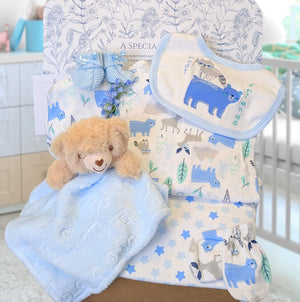 A gift box for a new baby boy with bear theme in blue and green.