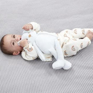 Blue antibacterial puppy baby toy – Safe & Soft