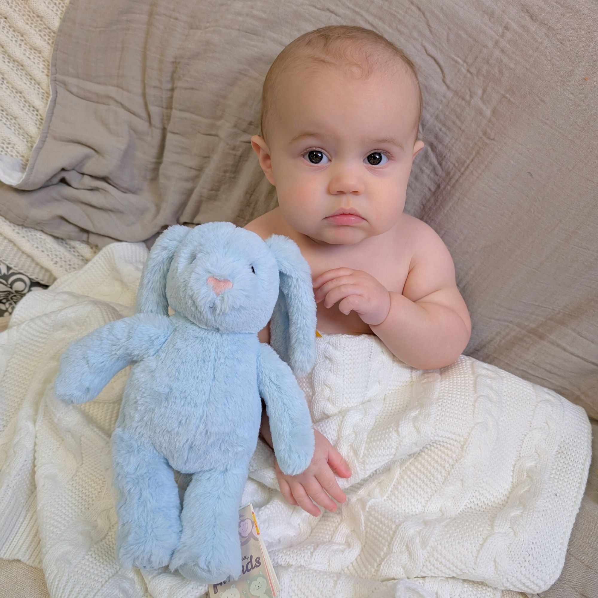 steiff Soft Cuddly Friends My First Hoppie Blue Rabbit Cuddly Toys.