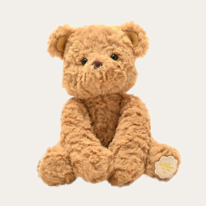 Cuddly teddy bear for babies – named William with charming personality