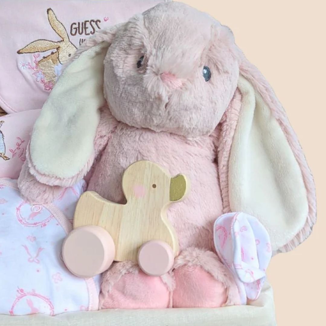 Baby girl hamper with stunning bunny clothing set, cuddly bunny soft toy and wooden baby toy. Award winning baby hampers perfect baby gifts for a new baby / baby shower.
