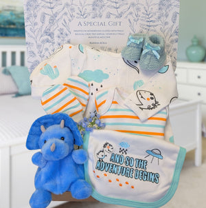 A dinosaur theme gift box with clothing set.