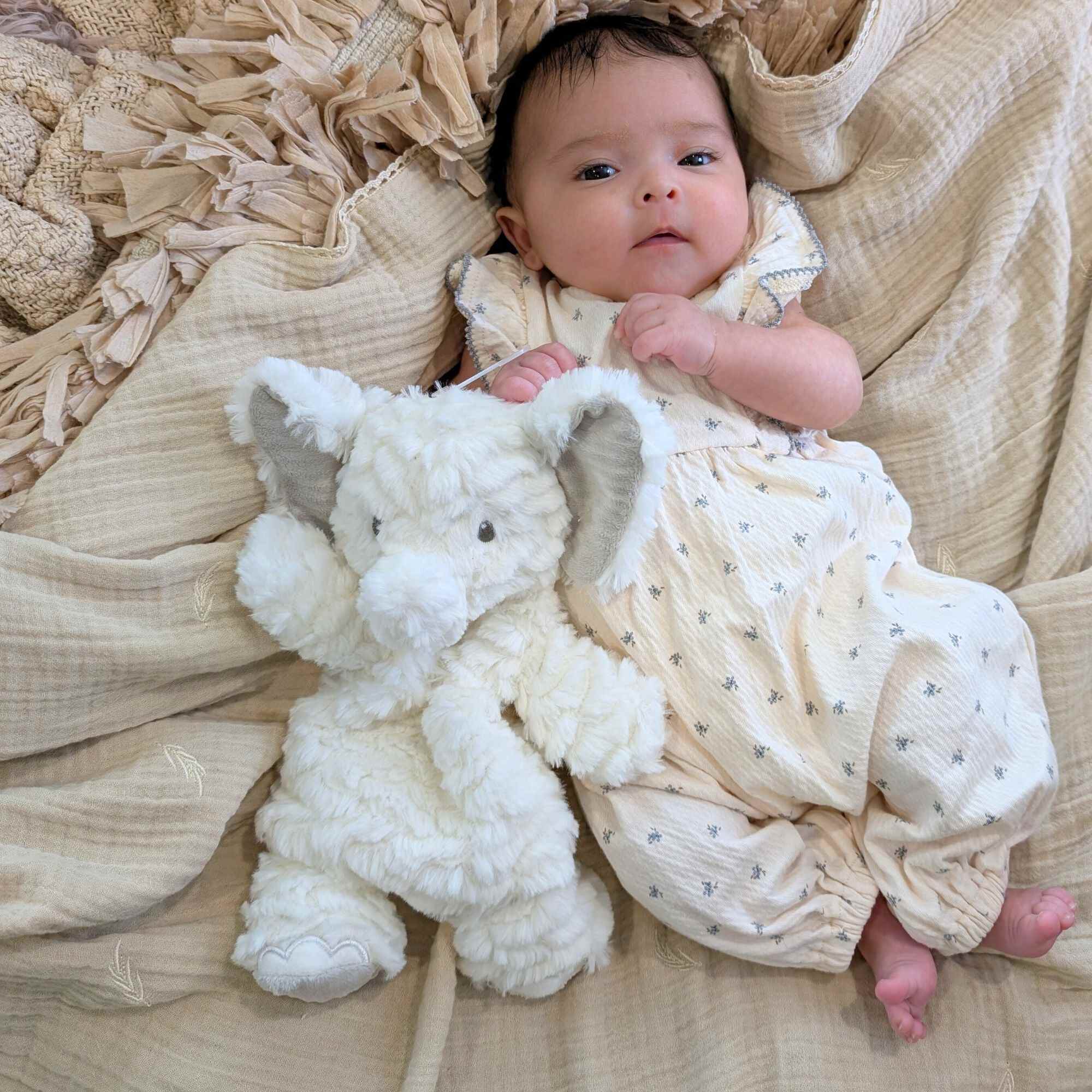 Elephant Lovey Comforter by Mary Meyer Baby Comforter.