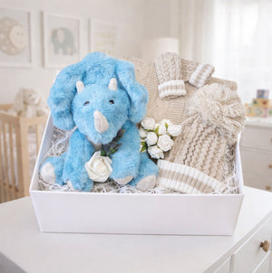 A baby boy gift idea in a box with dinosaur and knit hat and blanket set.