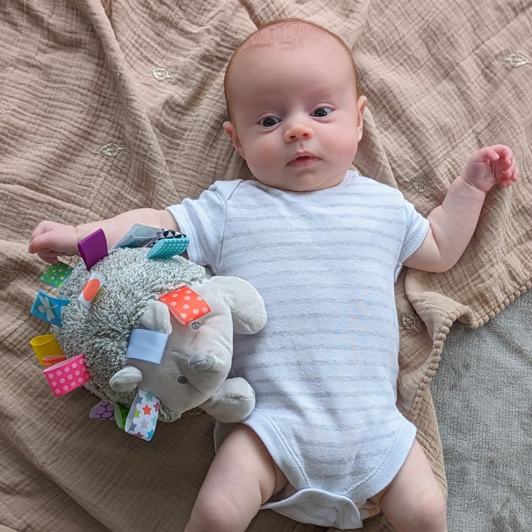 Taggies Heather Hedgehog Soft Toy Taggie Toy.