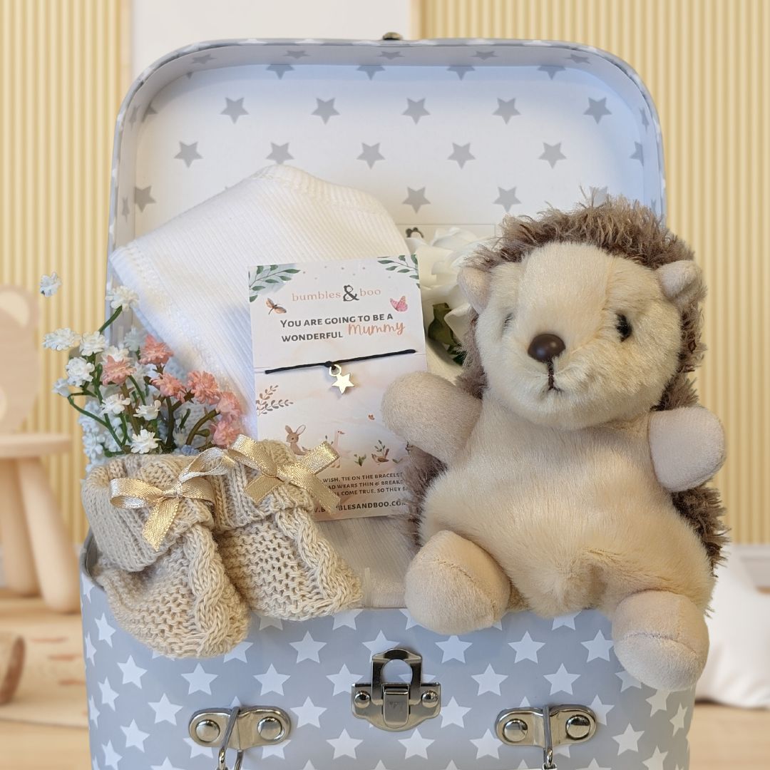 mum to be gifts in a keepsake trunk. Hedgehog theme.