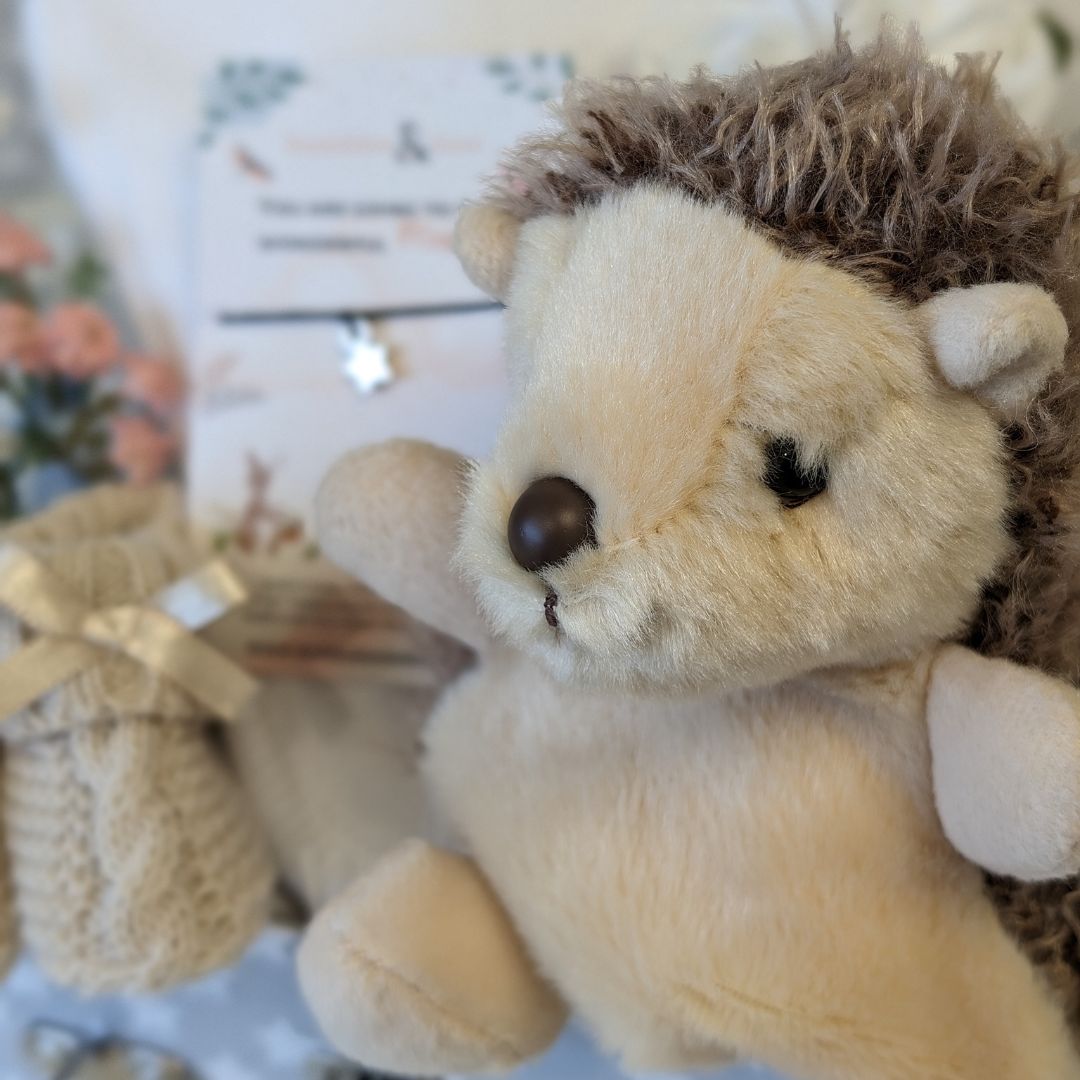 mum to be gifts in a keepsake trunk. Hedgehog theme.