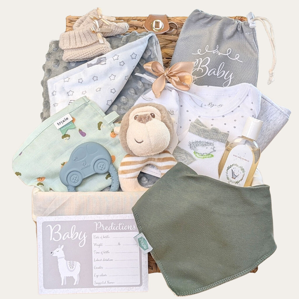 Baby boy gifts hamper with bodysuit, blanket, toy monkey, teether, baby wash and other presents. Bumbles & Boo.