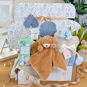 Newborn boy gift box with puppy toy, farmhouse biscuits and a variety of other baby boy gifts
