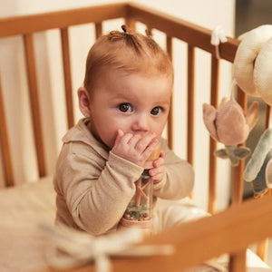 Wooden baby rattle featuring Fairy Amy and bird