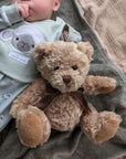 brown teddy bear-sherwood bear