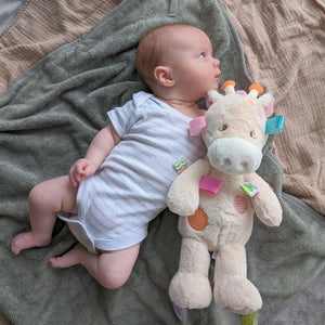Soft Toy Taggie Giraffe 'Tilly' Sensory Baby Toy.