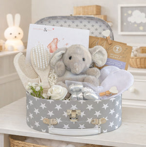 Little baby shower gift with an elephant soft toy and treat for the mum to be.