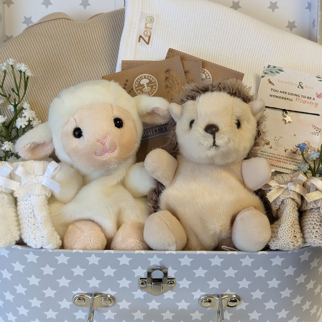 twins baby gifts trunk with hedgehog and lamb in a luggage trunk