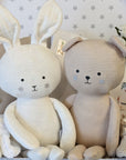 twins baby gifts trunk bunny and bear theme