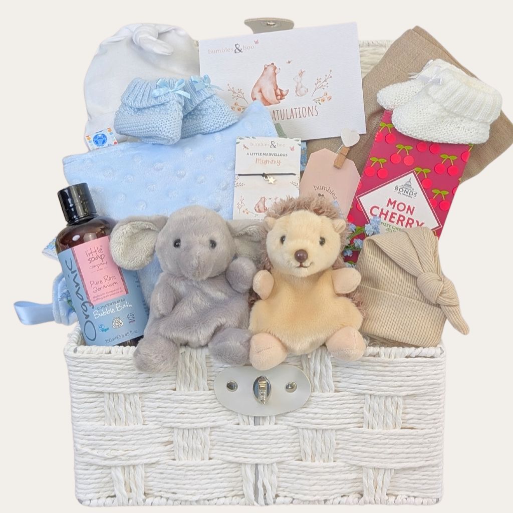 Twin baby hamper in beige and blue with hedgehog and elephant. Bumbles and Boo.