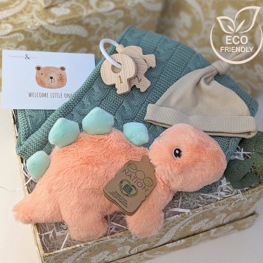unisex and eco new baby gift box with dinosaur theme