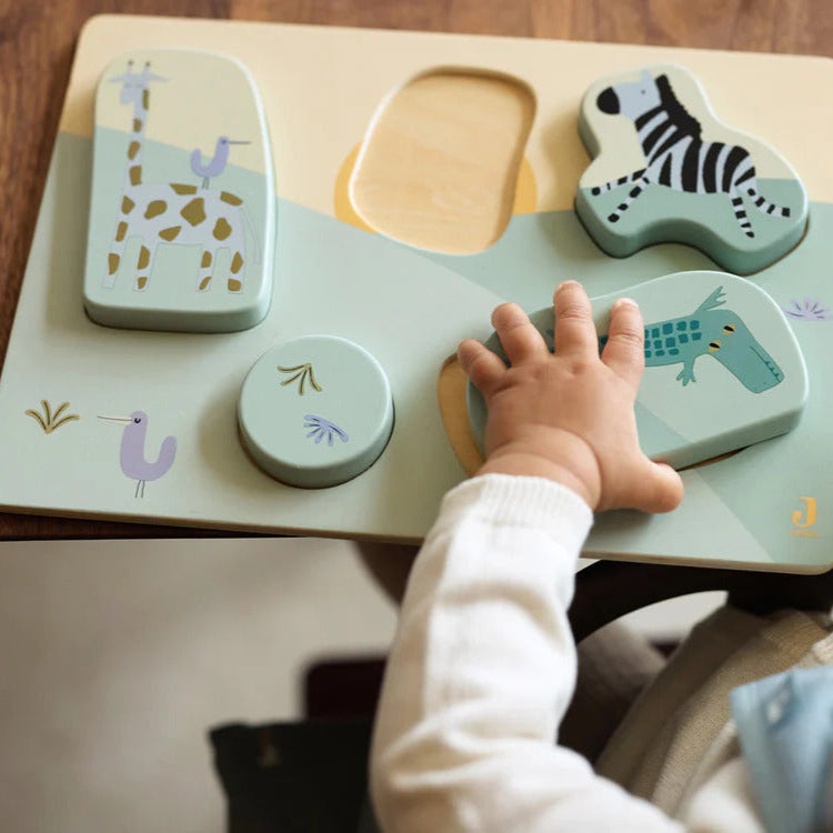 Educational Toy Collection