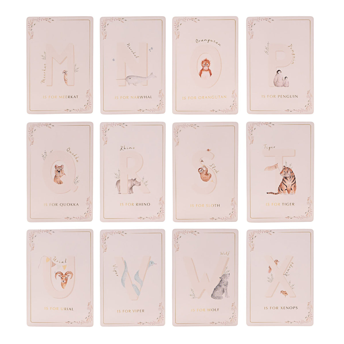 Alphabet cards M to X displayed in rows, showing animals from meerkat to xenops.