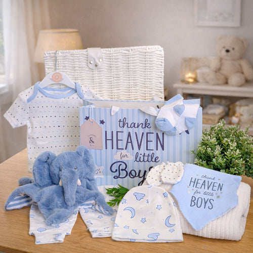 newborn baby boy gifts bag with presents including blue elephant comforter and baby boy clothing set with blanket.