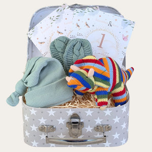 Baby boy hamper with gifts for a newborn including stripy dinosaur toy and milestone cards by Bumbles and Boo