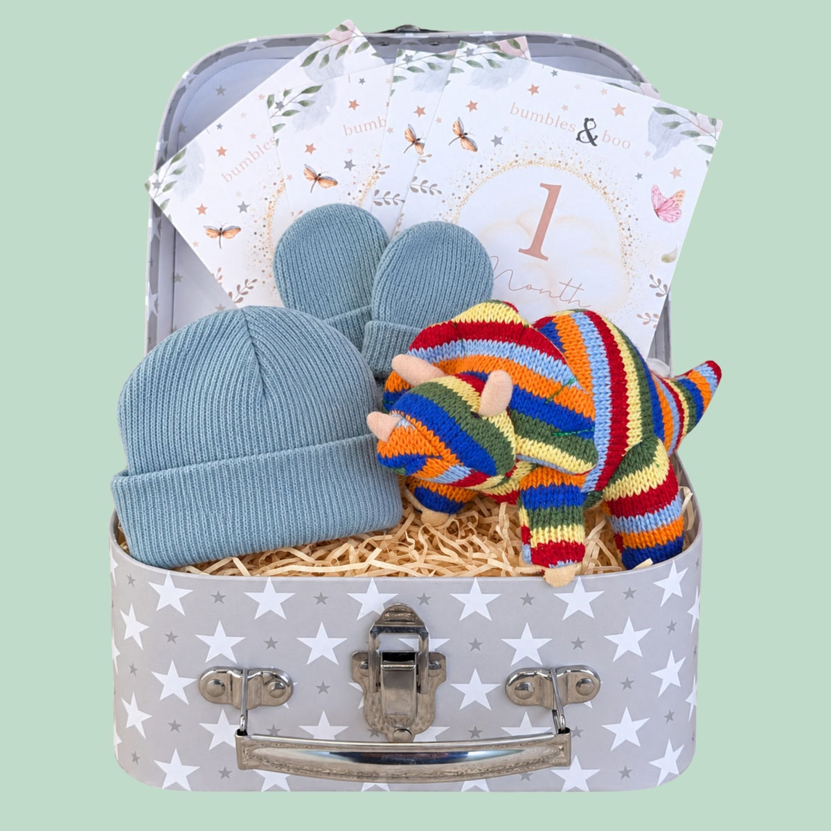 Baby boy hamper with gifts for a newborn including stripy dinosaur toy and milestone cards by Bumbles and Boo