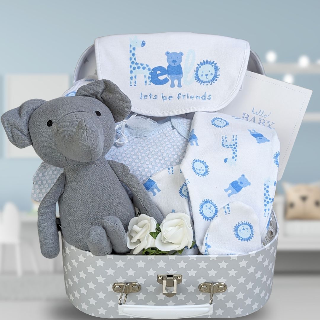 baby boy gifts trunk with clothing set and elephant soft toy.