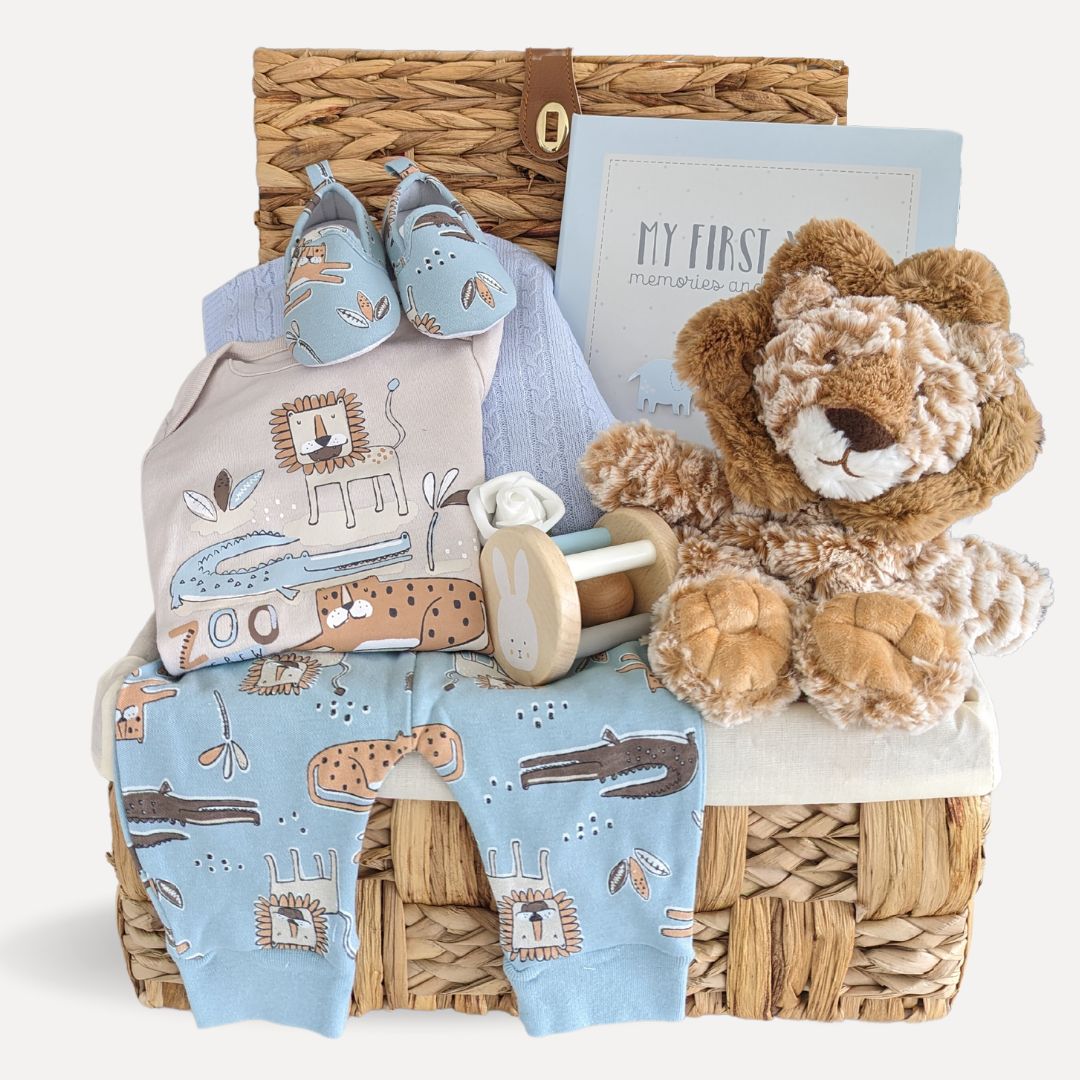 Beautiful basket for a new baby boy with zoo animal clothing set, adorable lion soft toy, baby boy journal, little slippers and blue cellular blanket. 