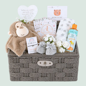 Baby gifts basket hamper with monkey comforter and organic baby wash 