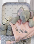 baby gifts hamper with pink elephant plush