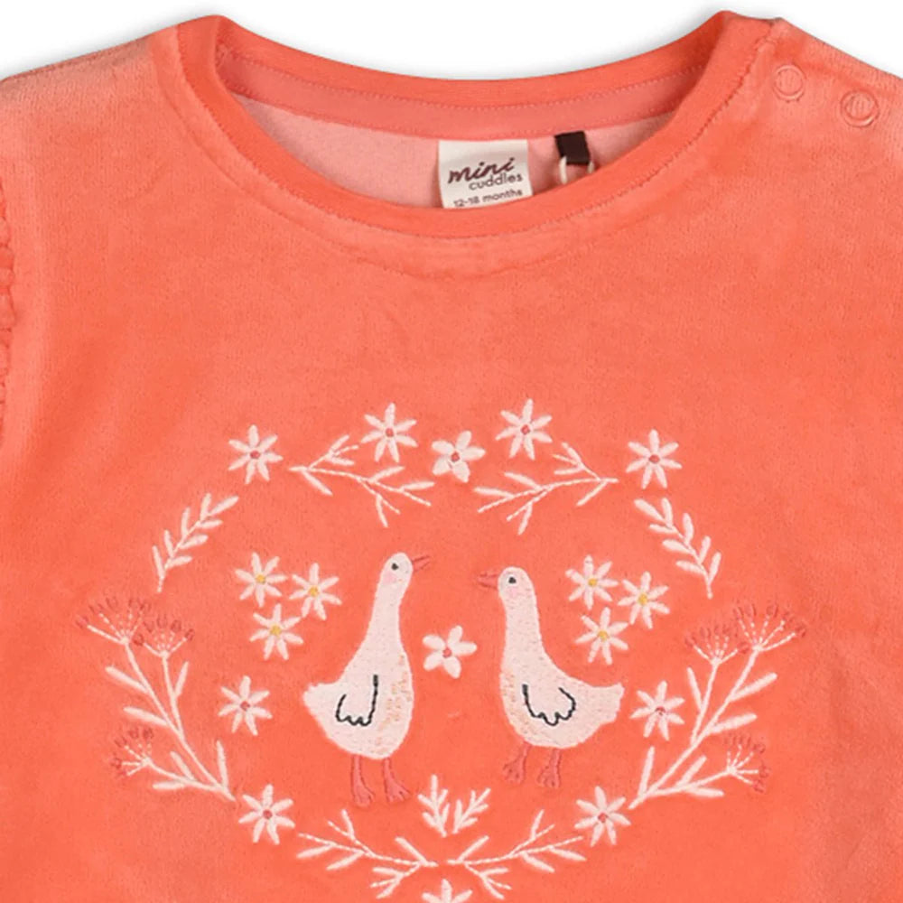 Close up of baby girl embroidered velour top with frill shoulders