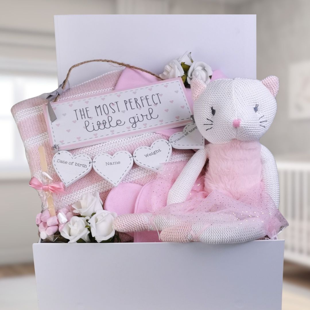 Pink baby girl gift box with ballerina soft toy.