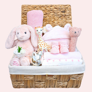 Baby girl gifts hamper basket with presents including pink bunny, cellular baby blanket, silver money box by Bumbles And Boo.
