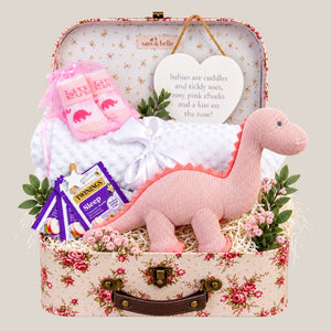 Baby girl hamper basket with gifts including pink dinosaur and white waffle blanket