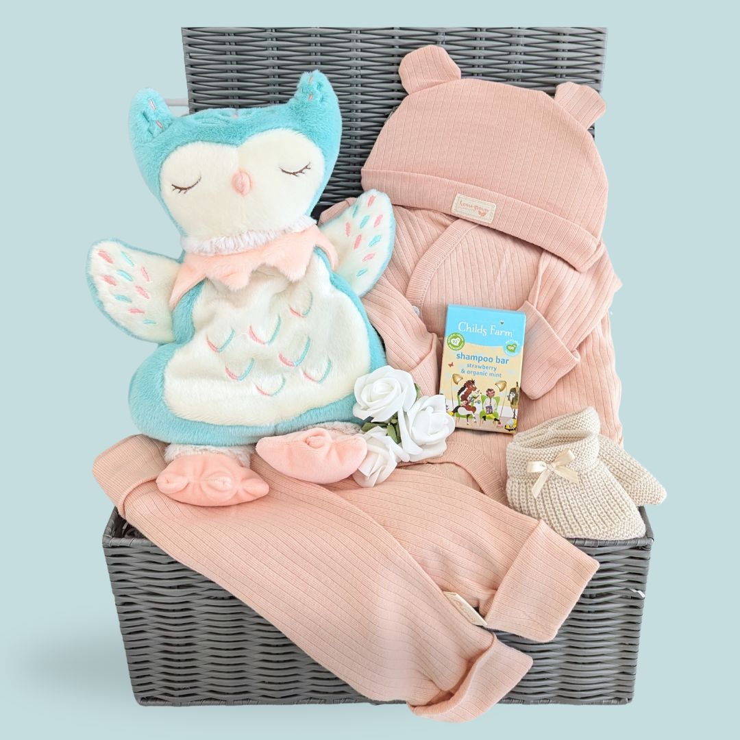 Baby hamper for a little girl with owl and organic clothing set.