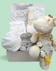 Baby hamper gift box with welcome to the world clothes and giraffe toy.