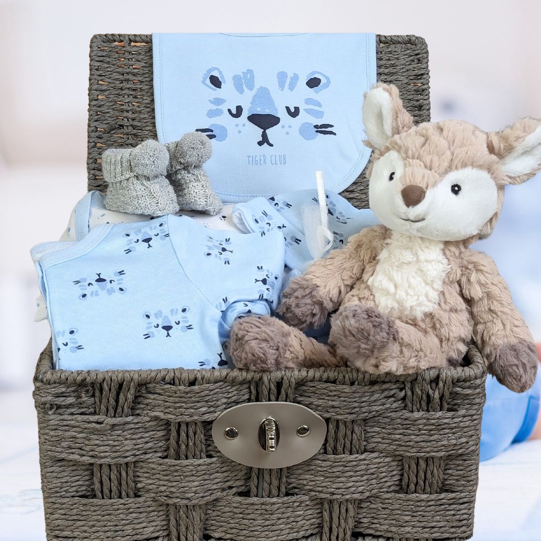 Baby boy gifts basket with clothing, teddy and baby booties.