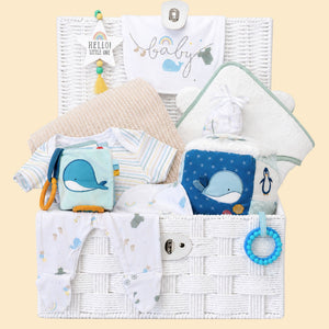 New baby gifts basket with an ocean theme to include clothing set and ocean activity cube