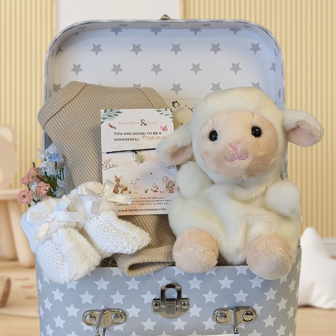 baby shower gifts trunk with lamb, bib and booties