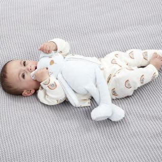 Blue antibacterial puppy baby toy – Safe & Soft