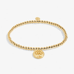 Gold Family bracelet gift by Joma Jewellery