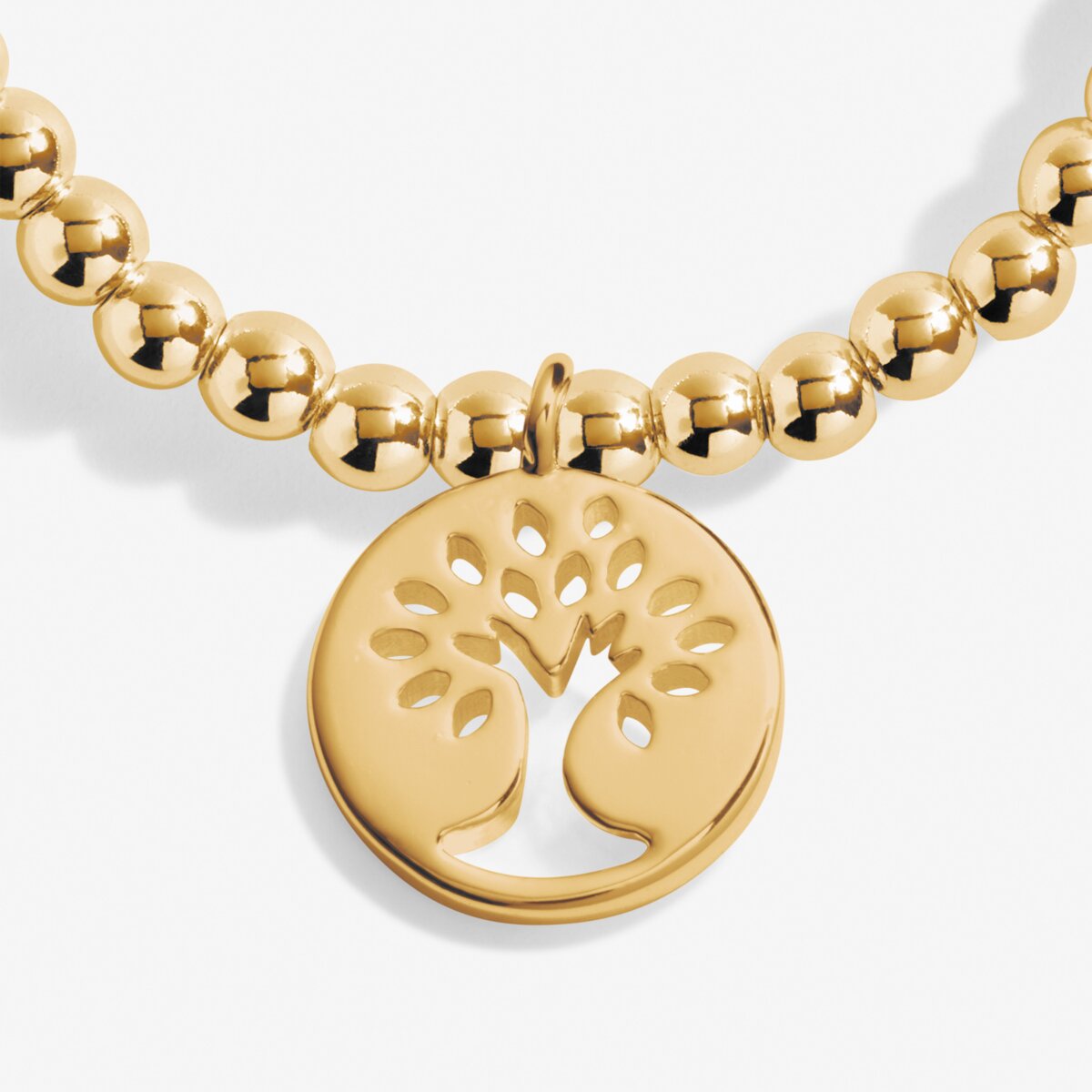 Joma Jewellery Family gold bracelet on sentiment card